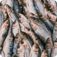 Fish at a fish market