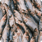 Fish at a fish market