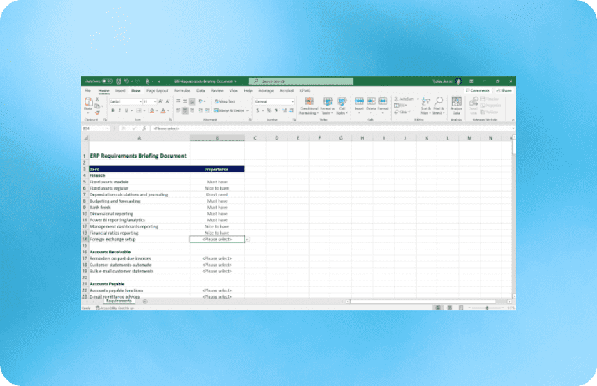 ERP Systems Requirements Briefing Document