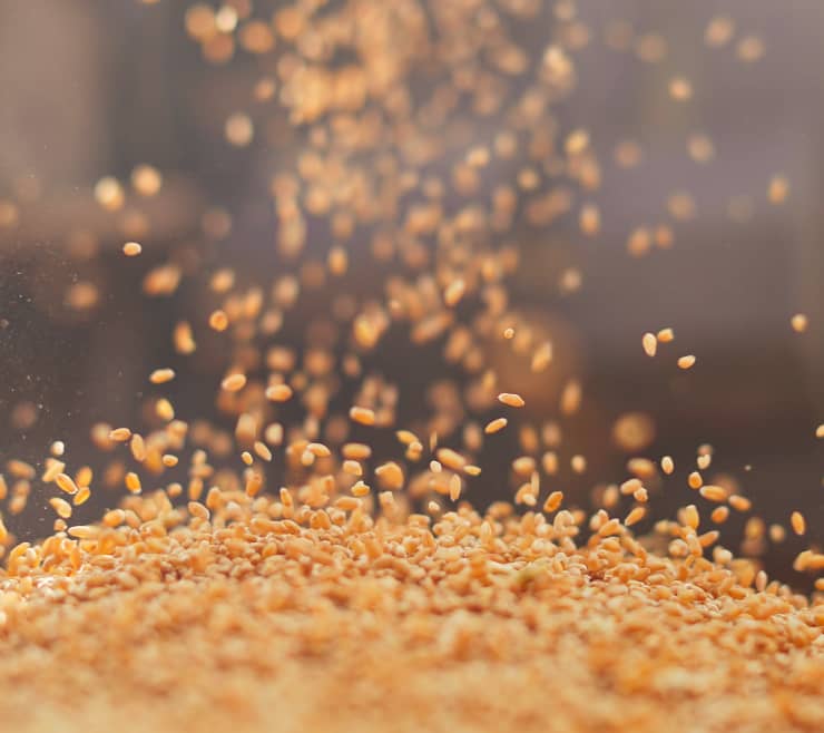 Grains falling in pile