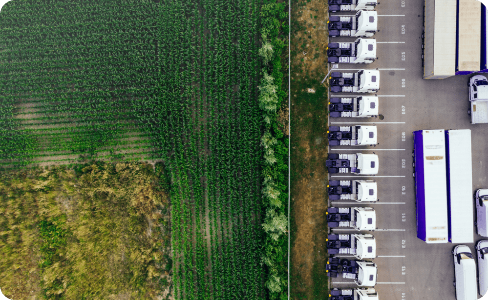 Group of trucks sitting in a carpark