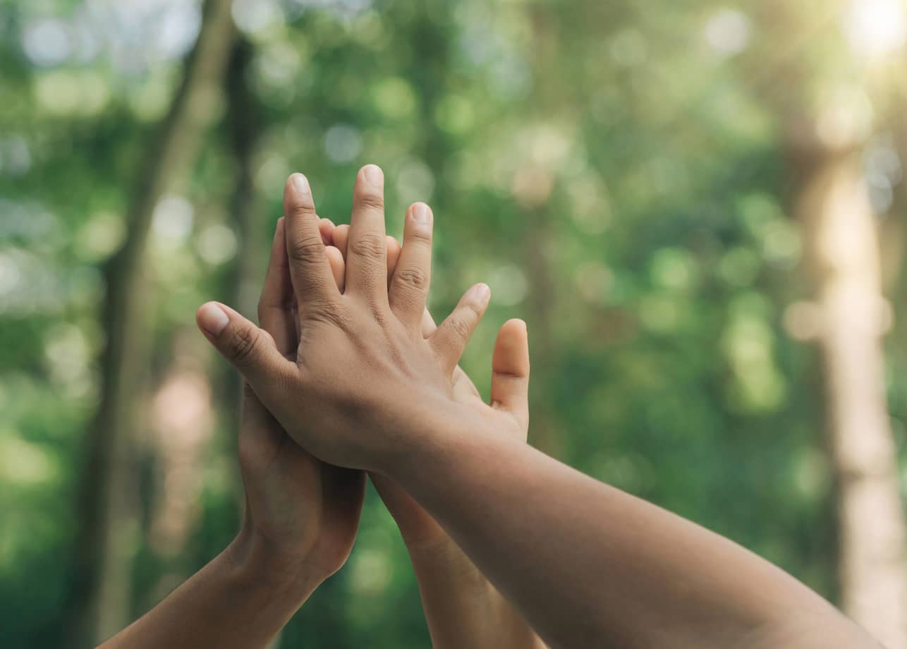 Two hands joining with trees background